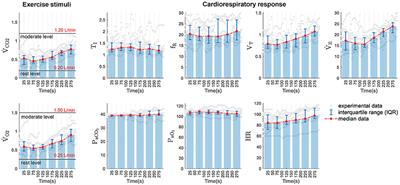 An Improved Dynamic Model for the Respiratory Response to Exercise